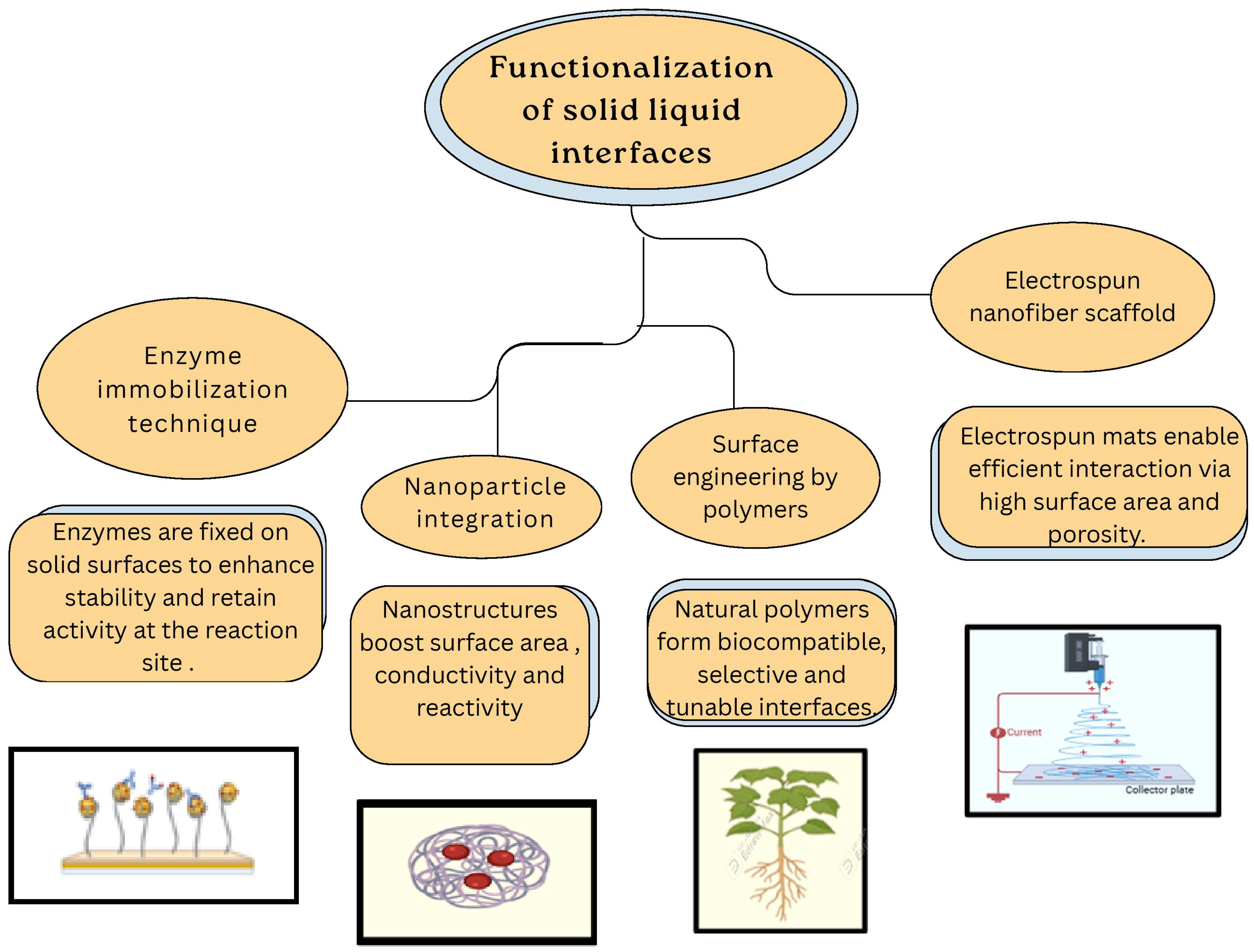 Chemosensors 13 00385 g008