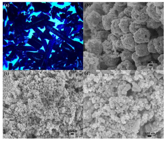 Chemosensors 13 00386 g003