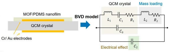 Chemosensors 13 00386 g007
