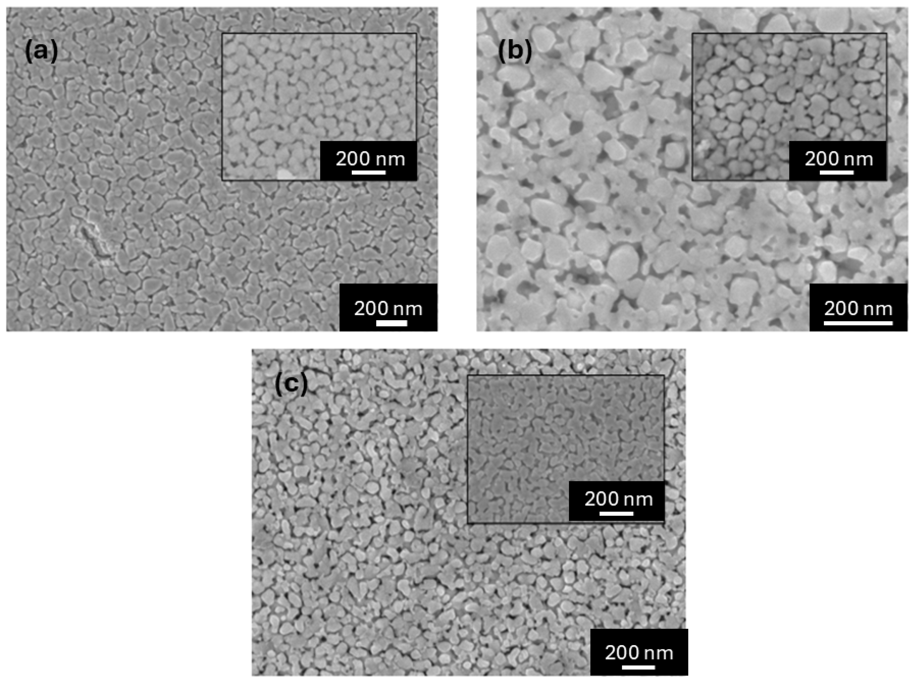 Chemosensors 13 00387 g002
