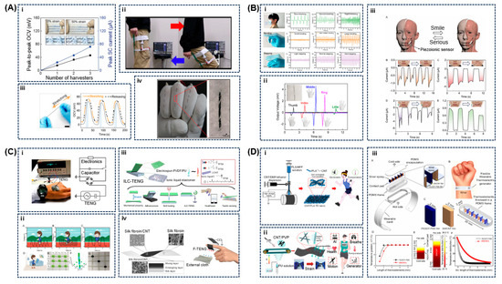 Chemosensors 13 00388 g004