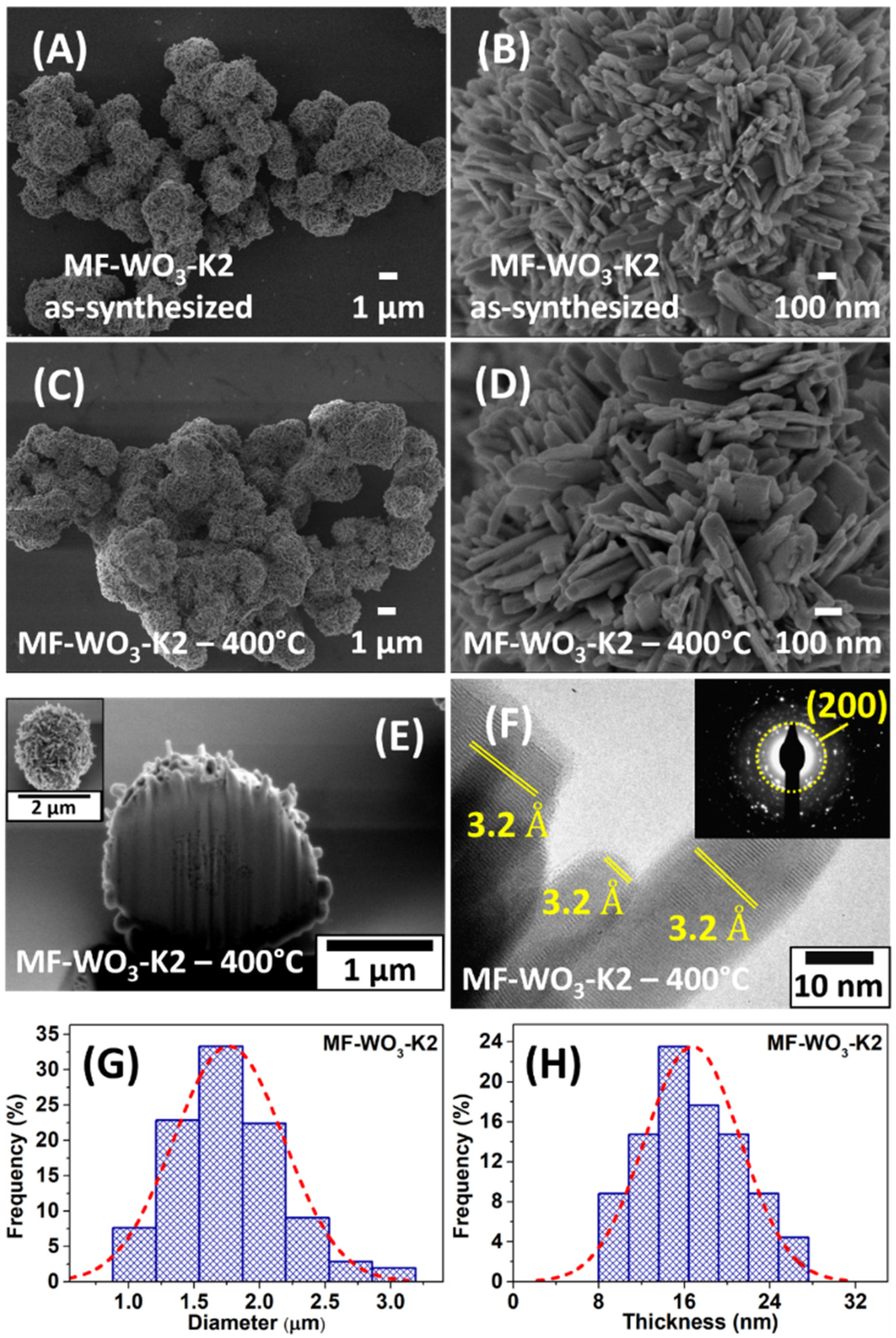 Chemosensors 13 00390 g001