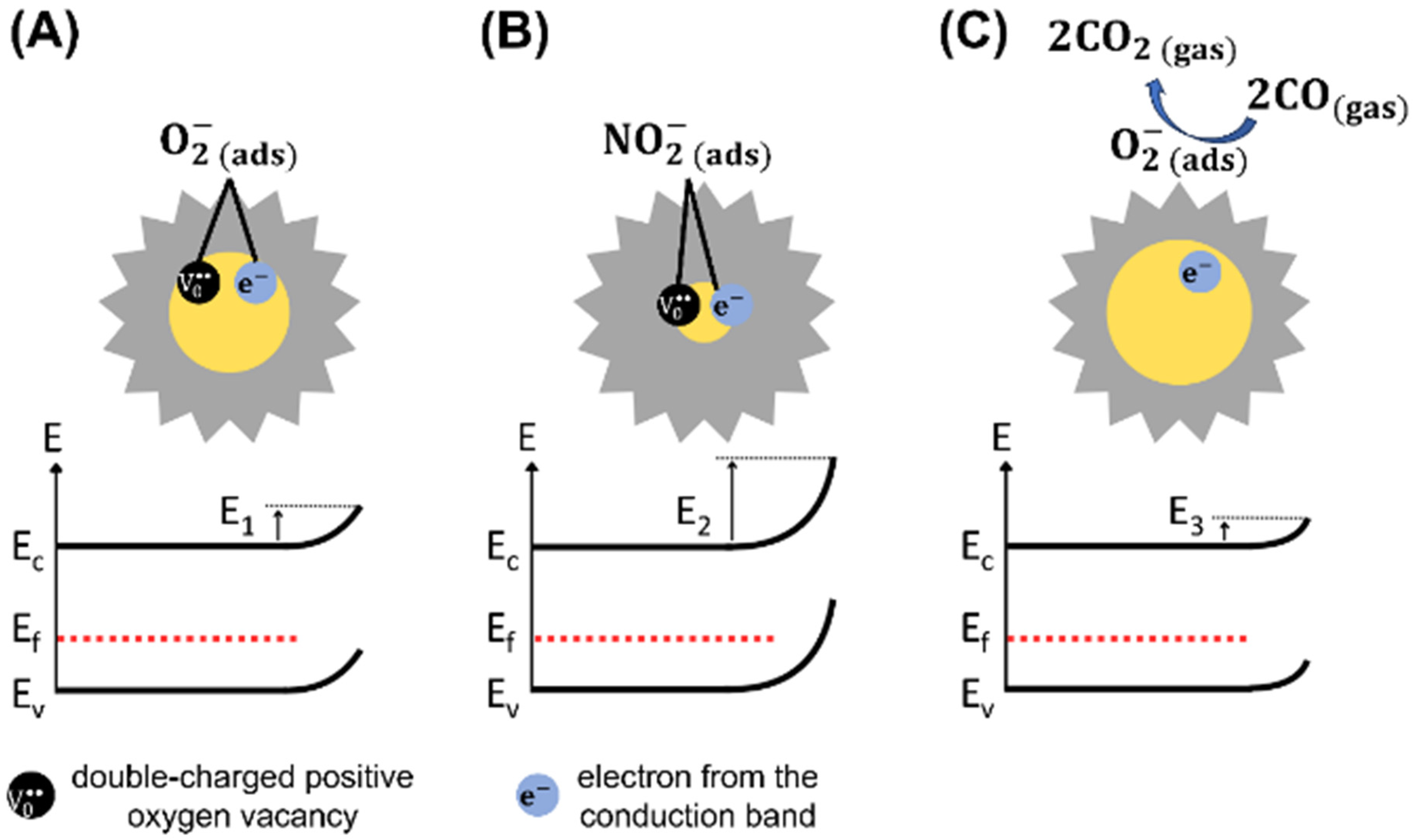 Chemosensors 13 00390 g009