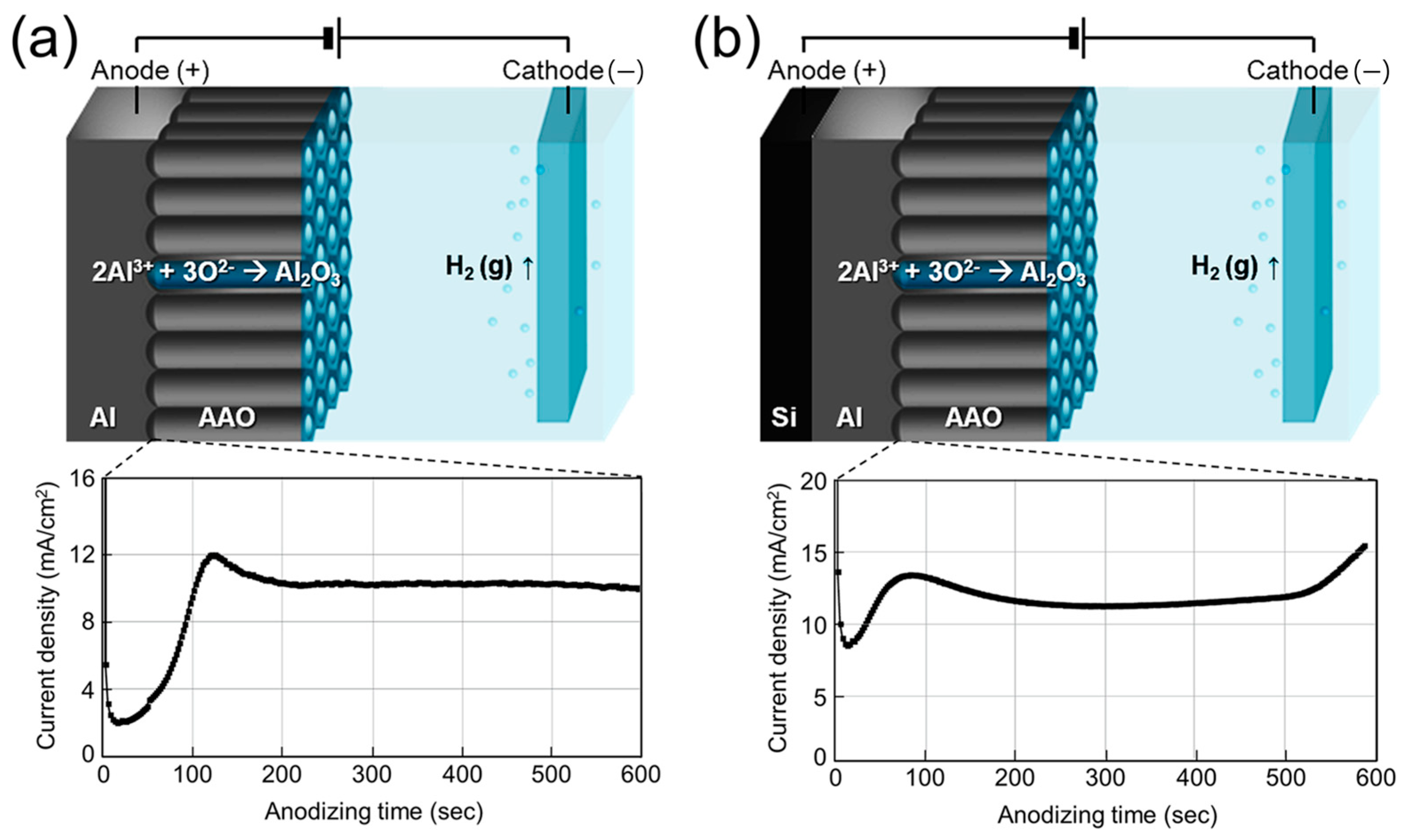 Chemosensors 13 00397 g002 Chemosensors 13 00397 g002