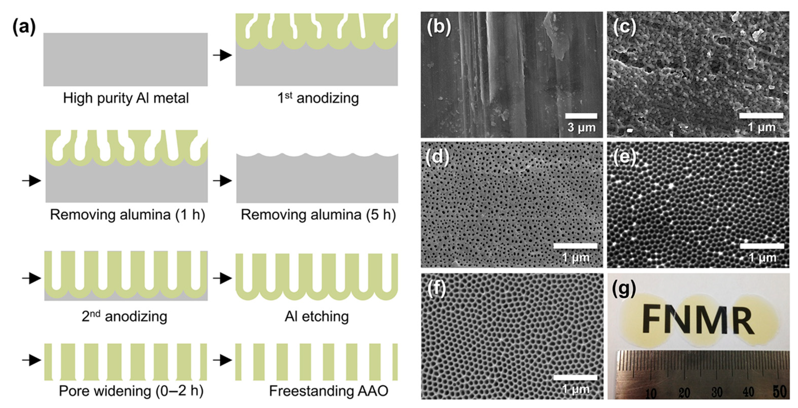 Chemosensors 13 00397 g003 Chemosensors 13 00397 g003