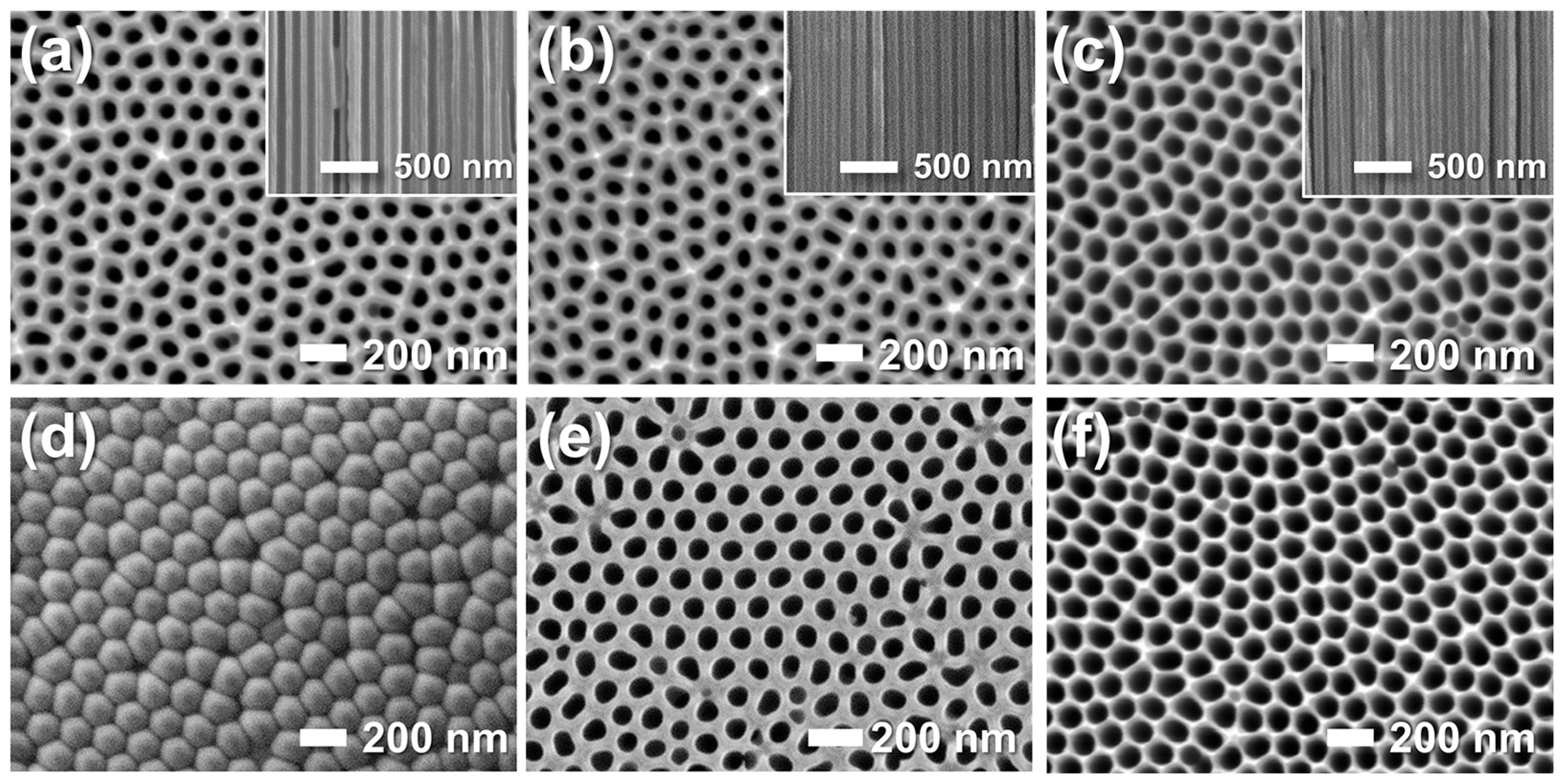Chemosensors 13 00397 g004 Chemosensors 13 00397 g004