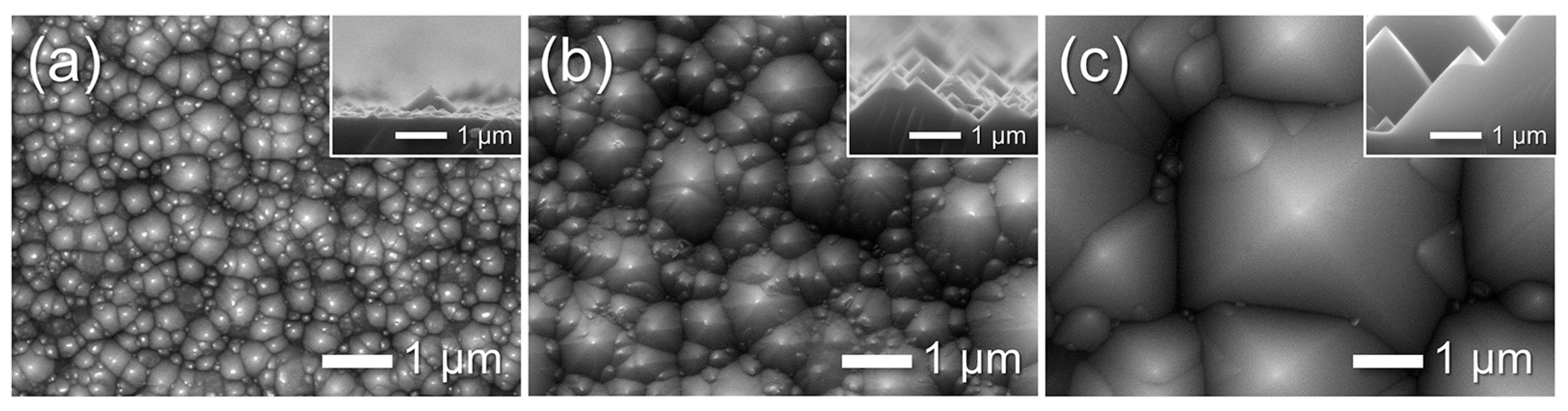 Chemosensors 13 00397 g008 Chemosensors 13 00397 g008