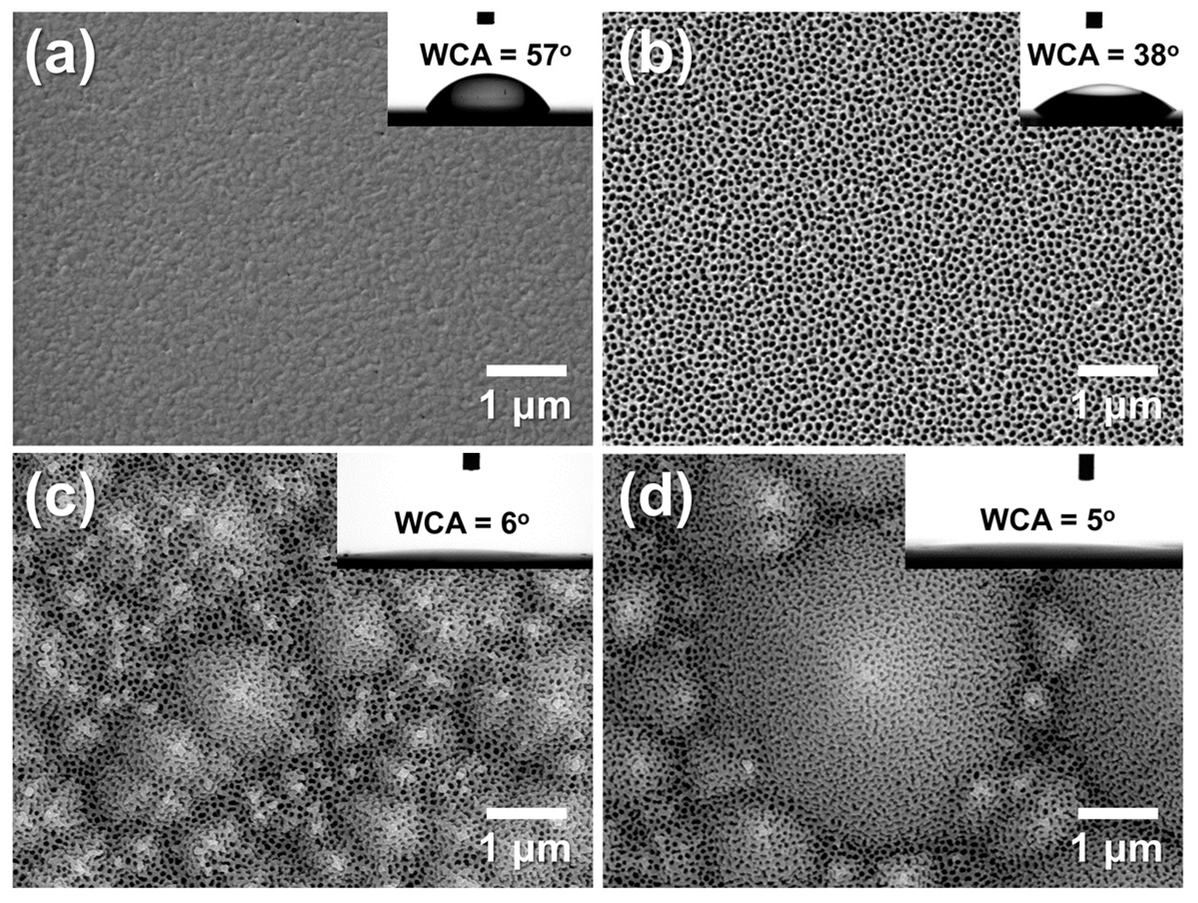 Chemosensors 13 00397 g011 Chemosensors 13 00397 g011