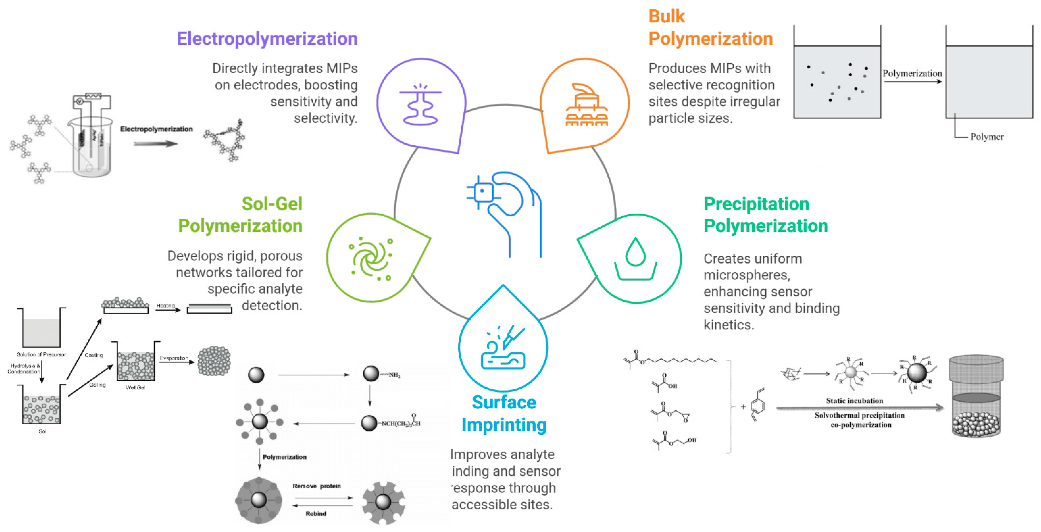 Chemosensors 13 00398 g002