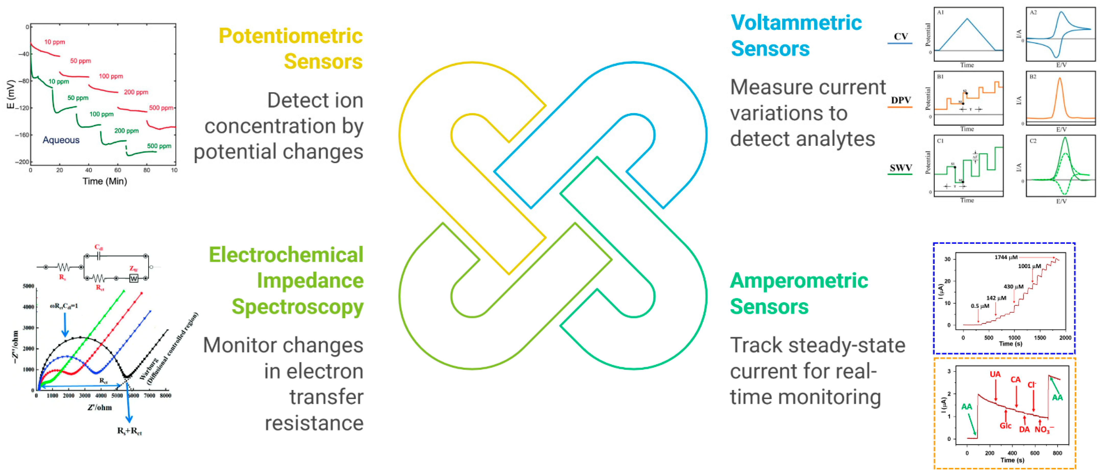 Chemosensors 13 00398 g003