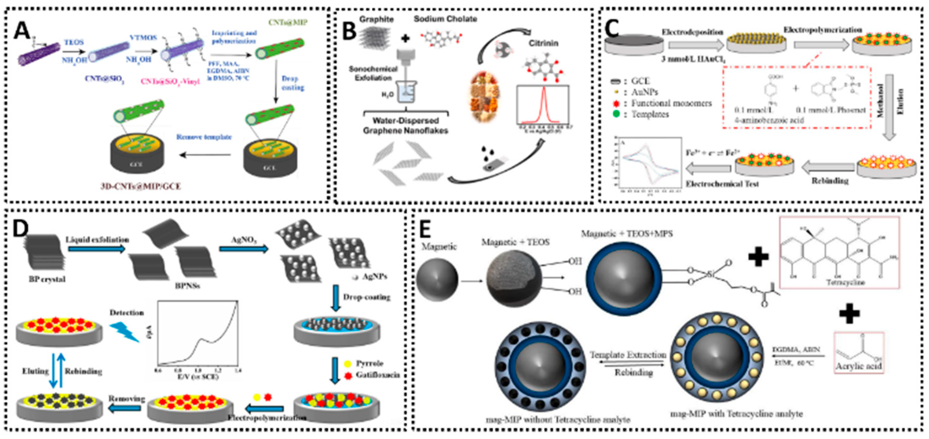 Chemosensors 13 00398 g004