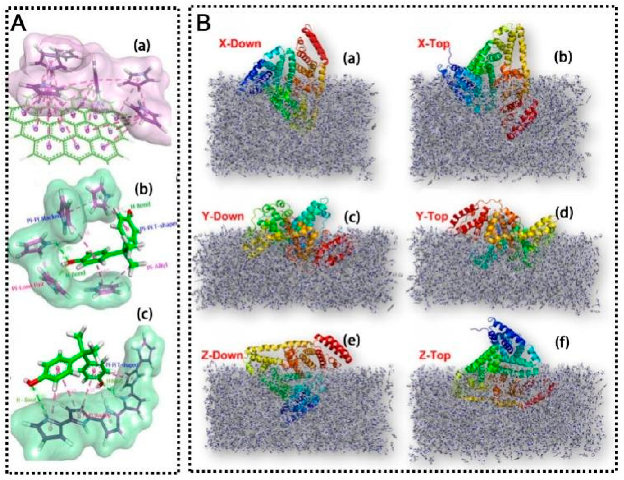 Chemosensors 13 00398 g005