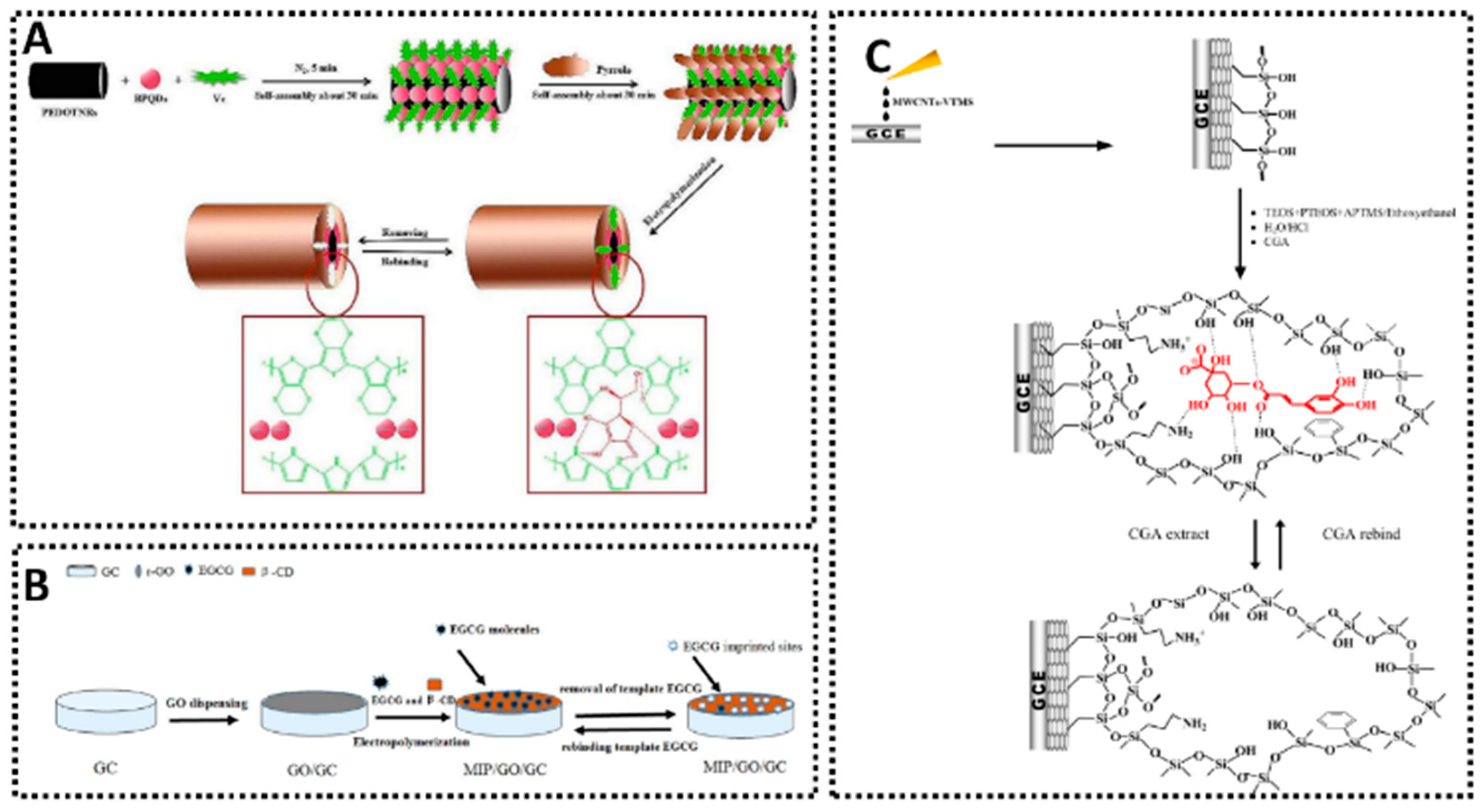 Chemosensors 13 00398 g006