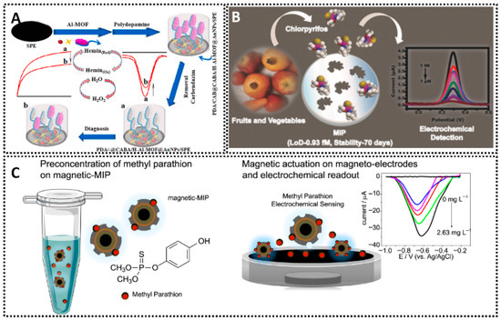 Chemosensors 13 00398 g010
