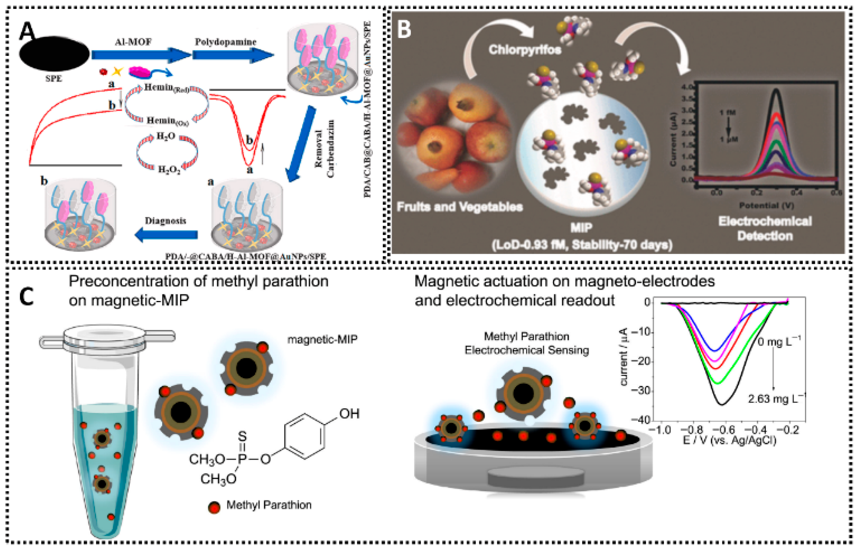 Chemosensors 13 00398 g010