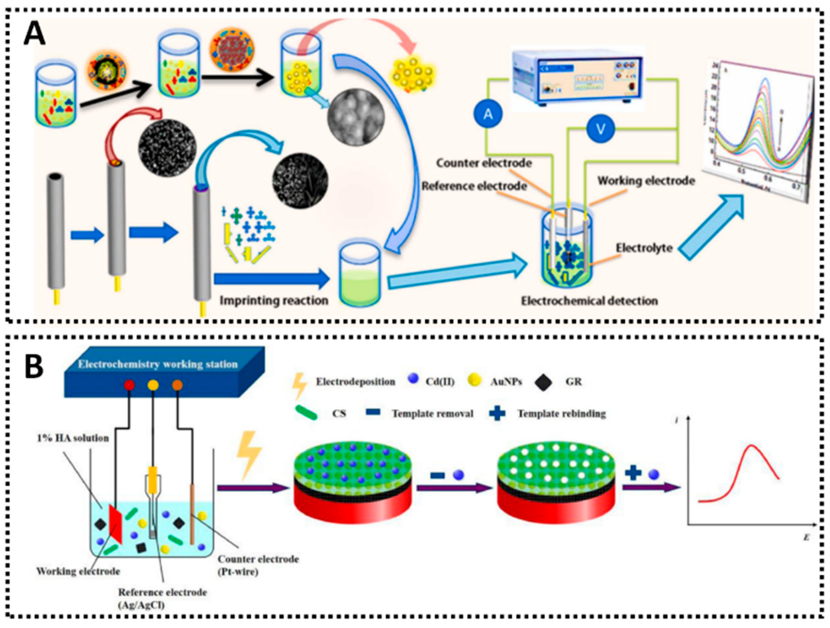 Chemosensors 13 00398 g011