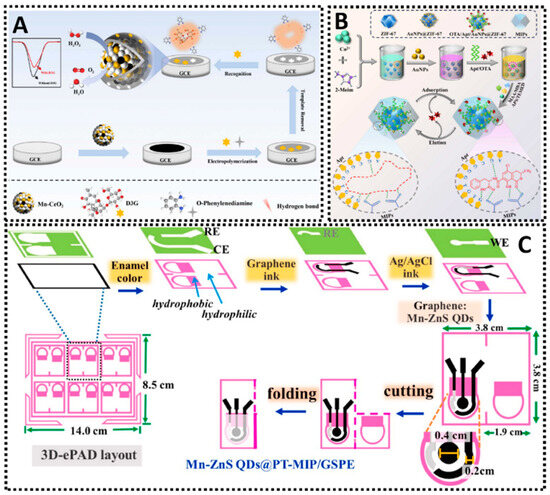 Chemosensors 13 00398 g013