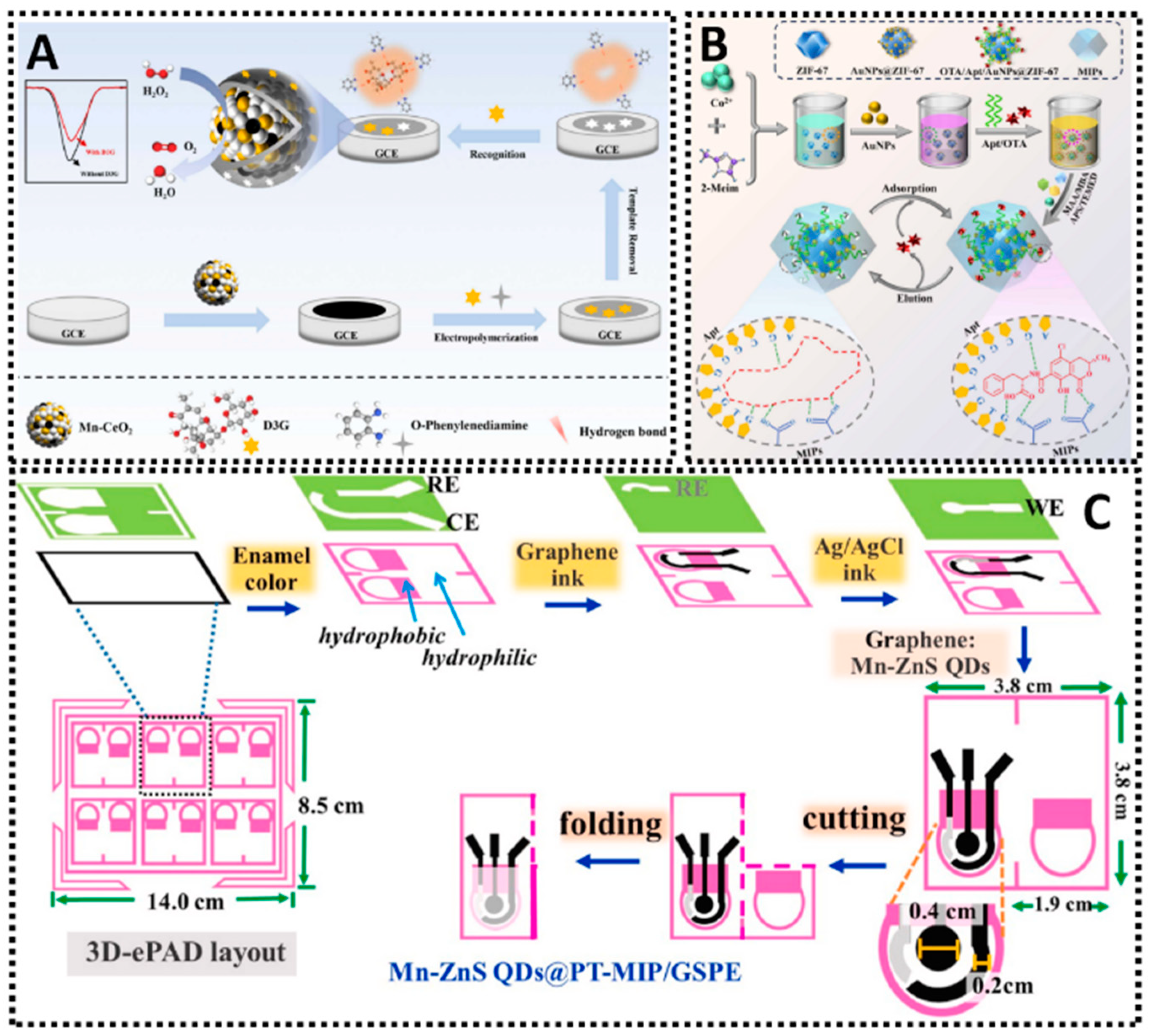 Chemosensors 13 00398 g013