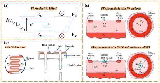 Chemosensors 13 00399 g002