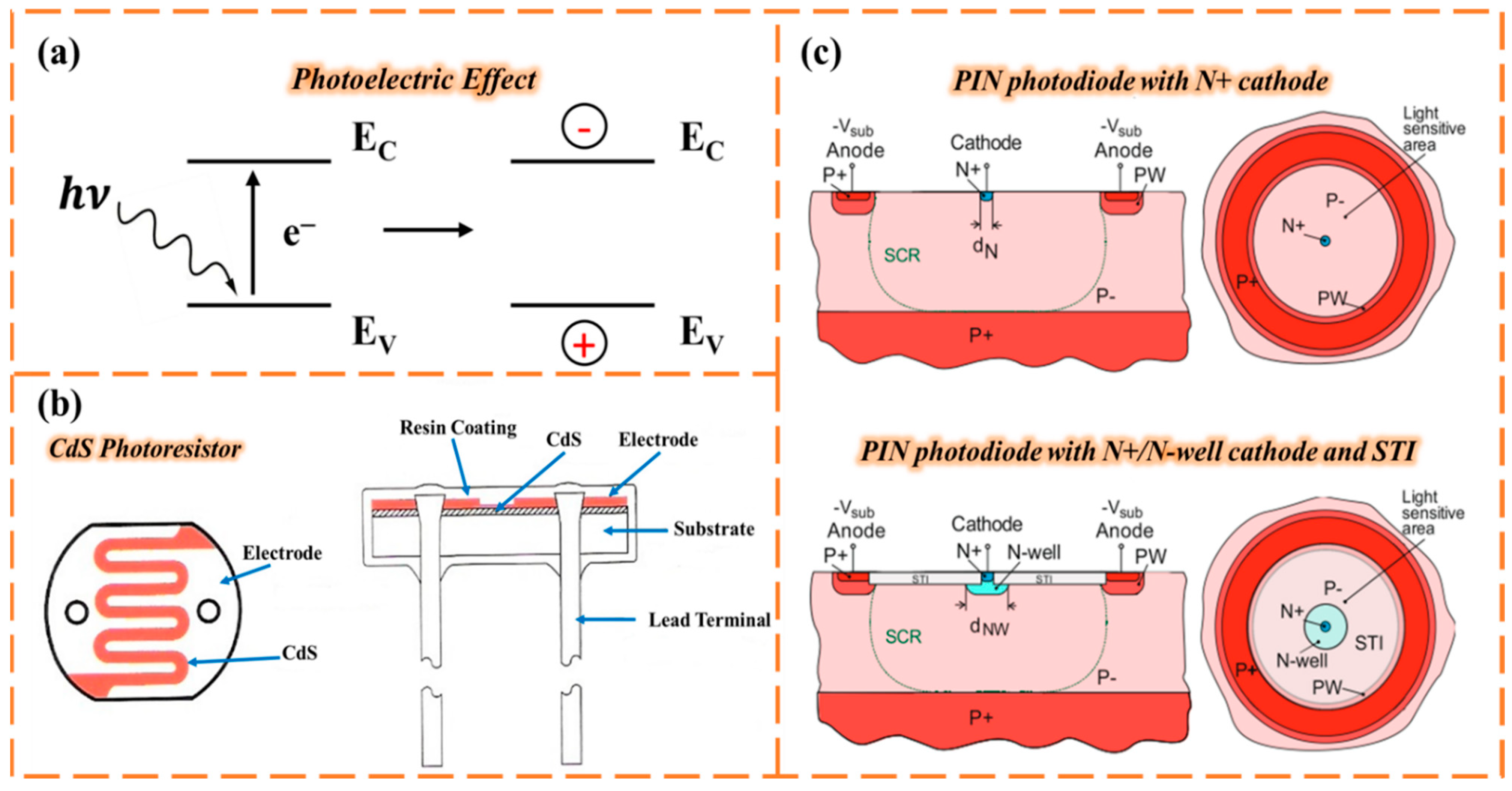 Chemosensors 13 00399 g002