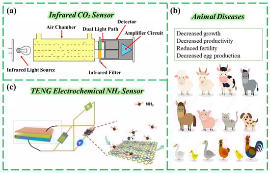Chemosensors 13 00399 g003
