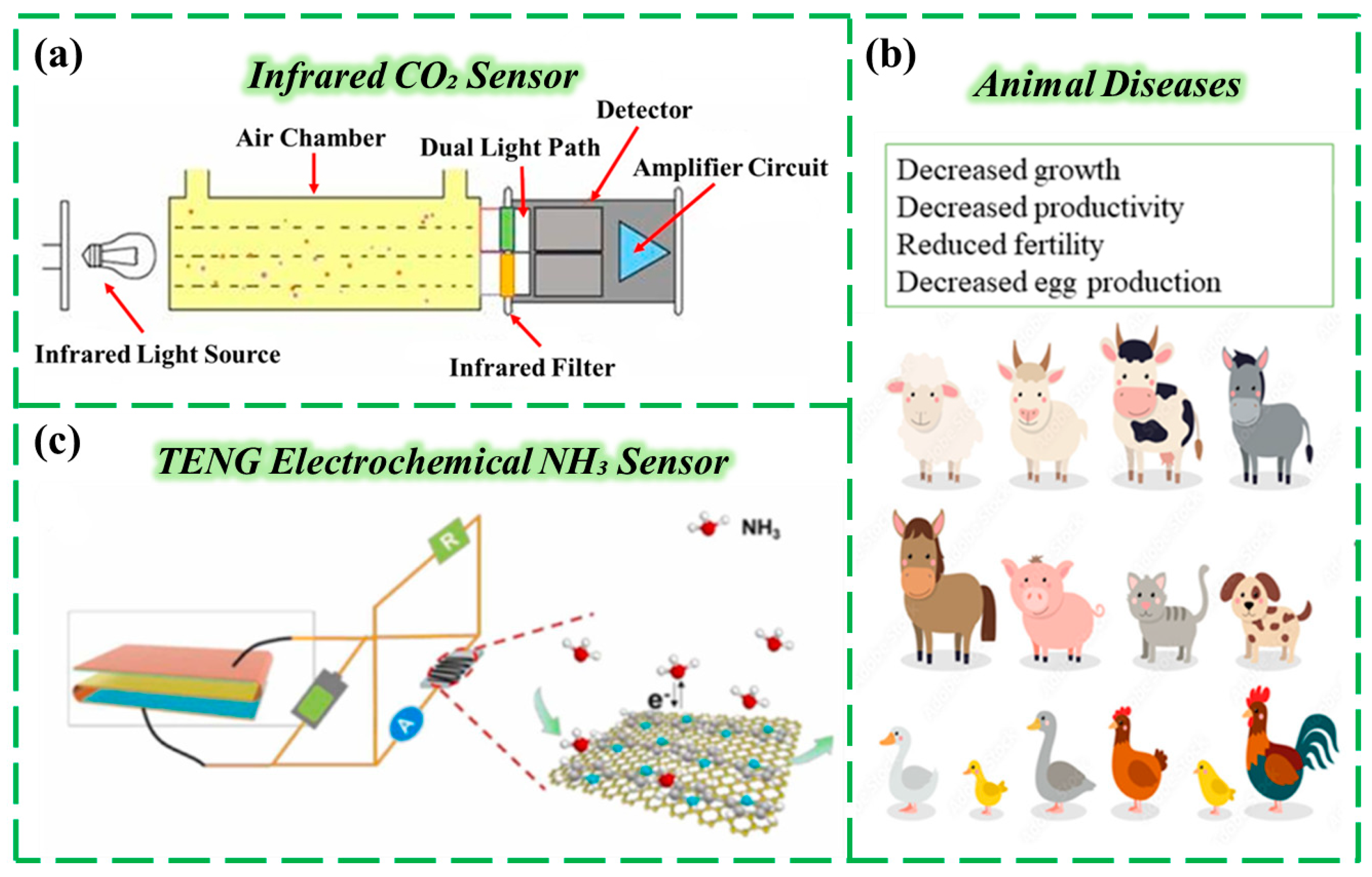 Chemosensors 13 00399 g003