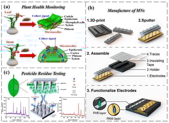Chemosensors 13 00399 g004