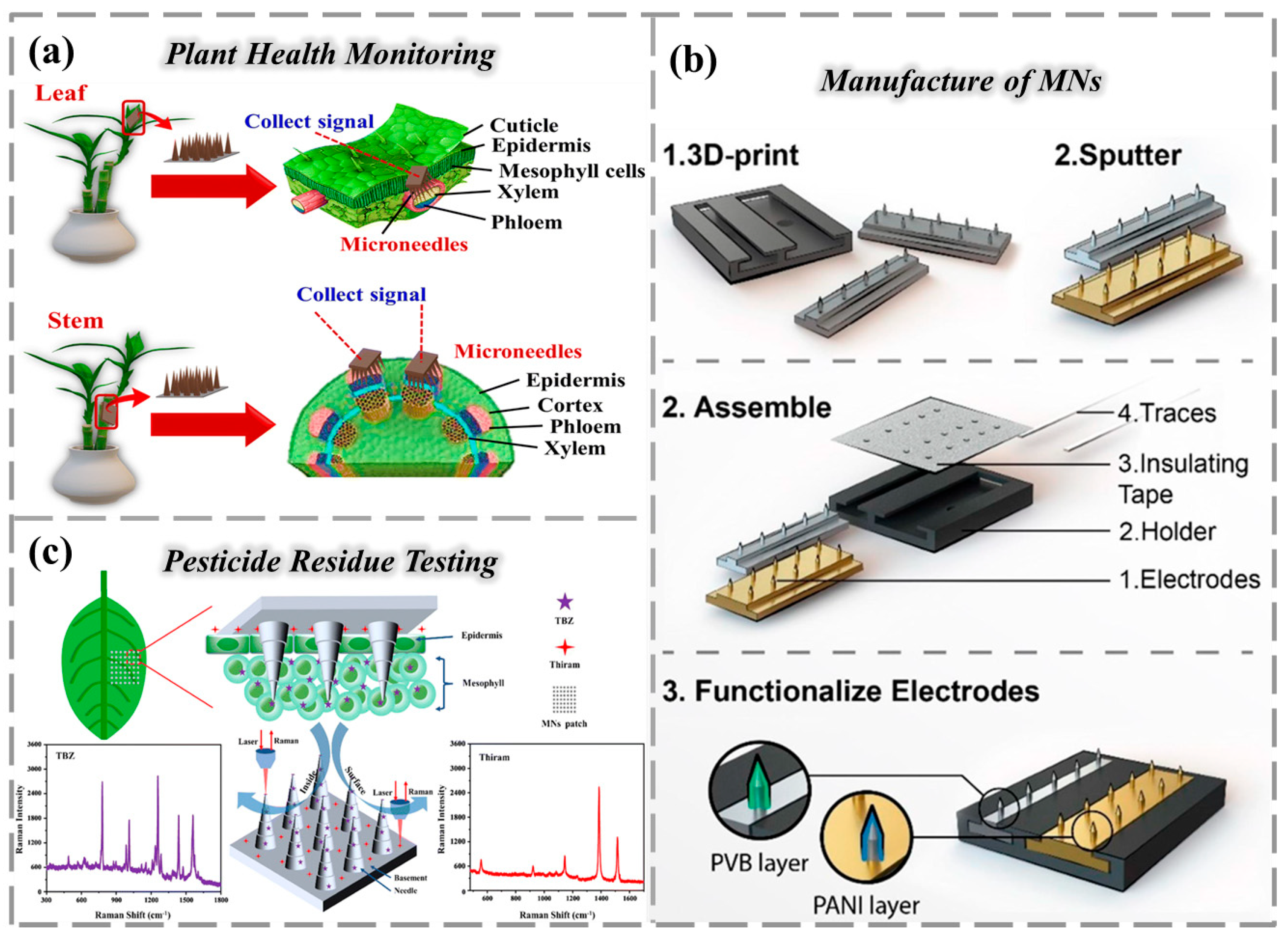Chemosensors 13 00399 g004