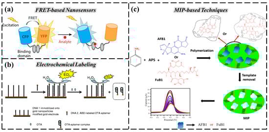Chemosensors 13 00399 g005