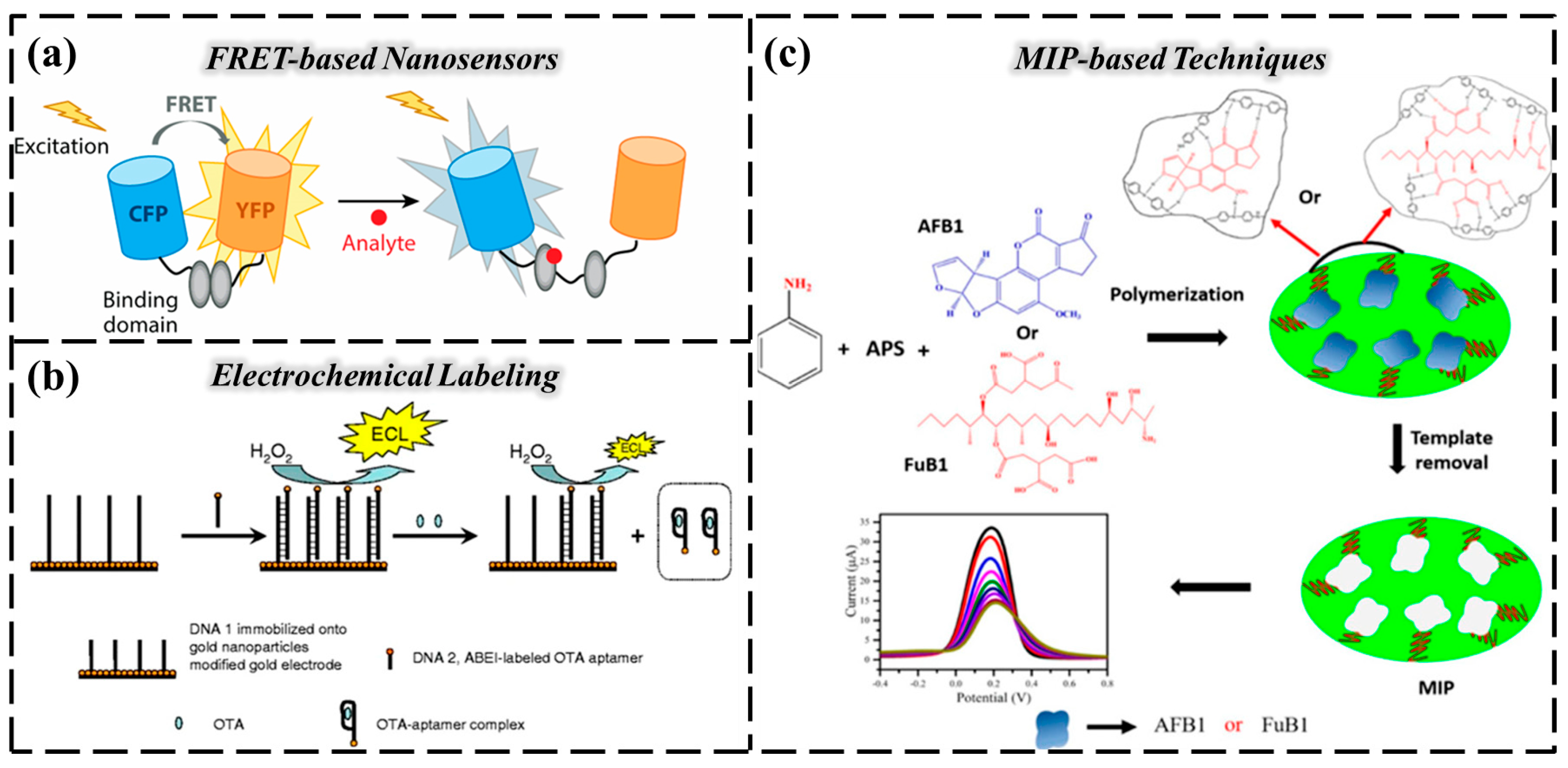 Chemosensors 13 00399 g005