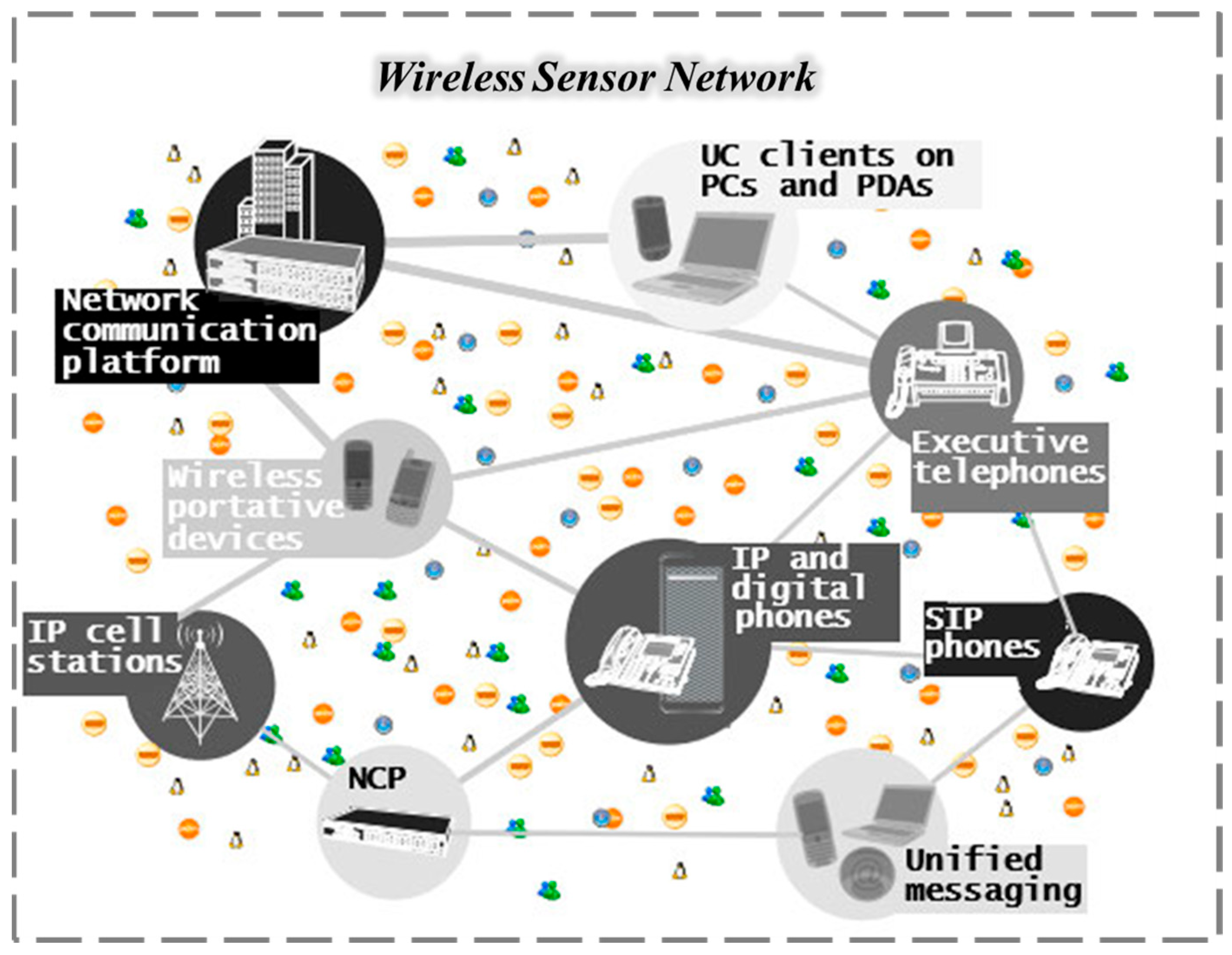 Chemosensors 13 00399 g006