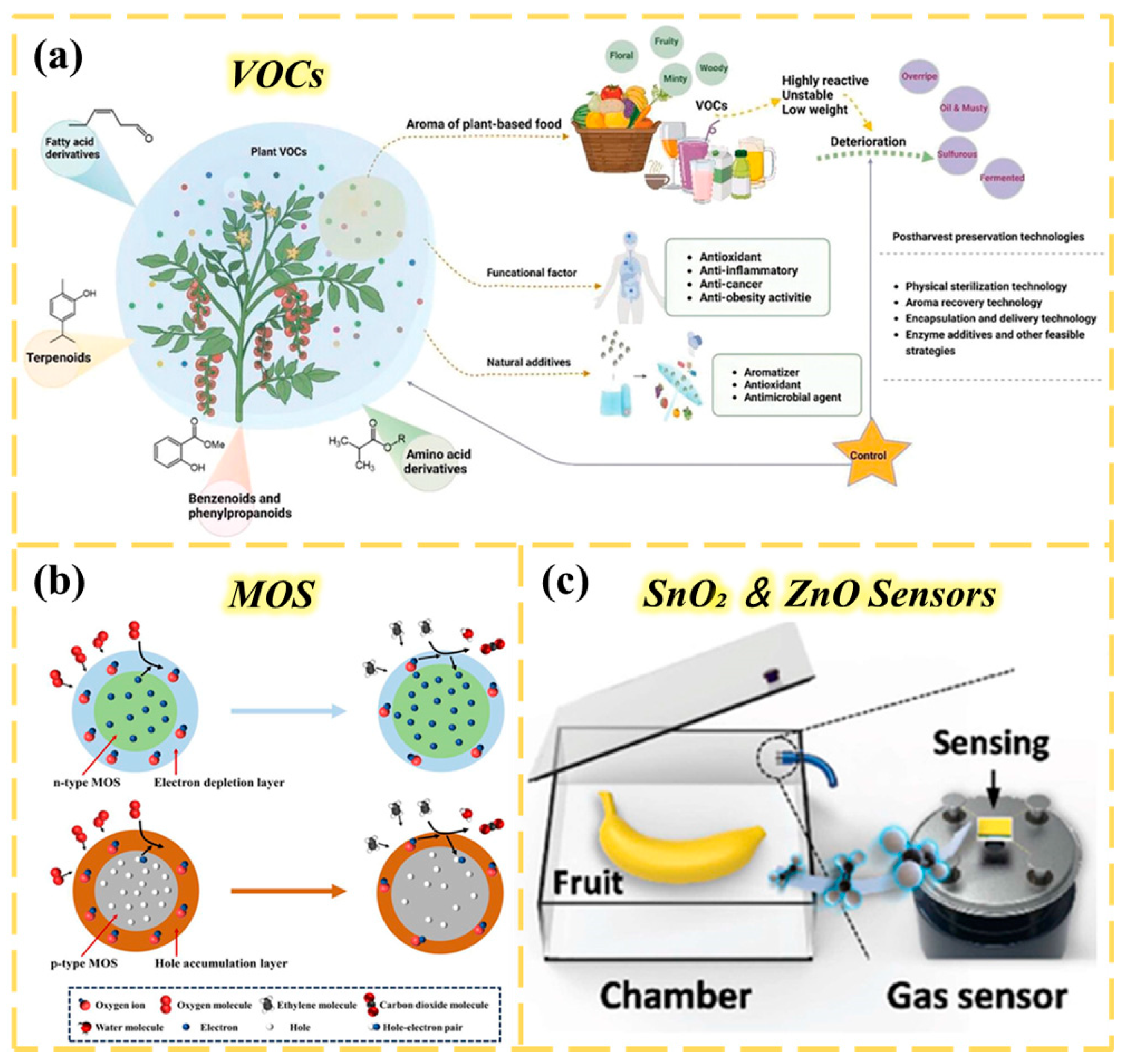 Chemosensors 13 00399 g009