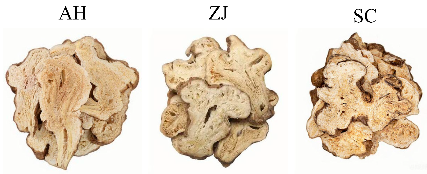 Chemosensors 13 00400 g001
