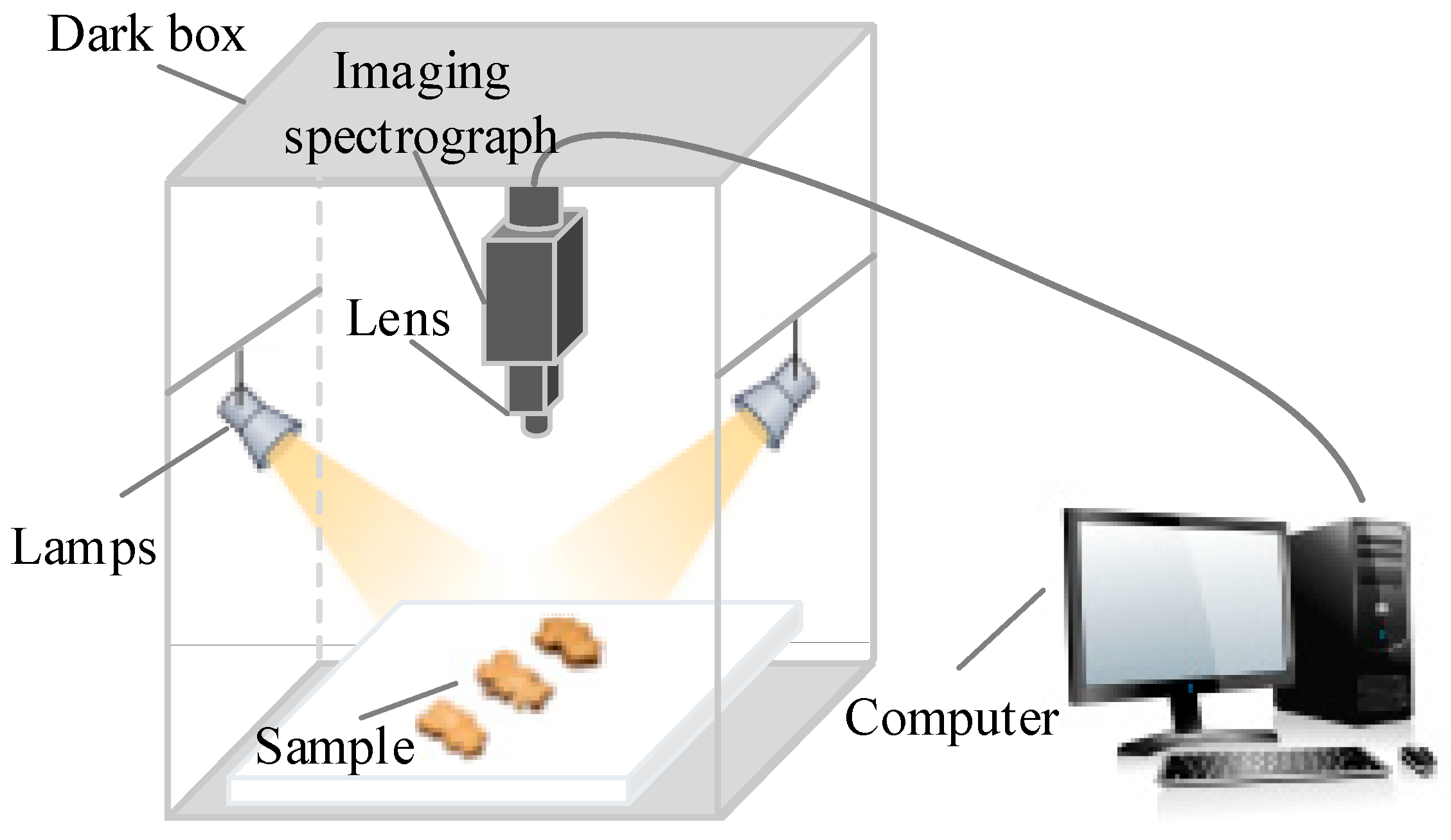 Chemosensors 13 00400 g002