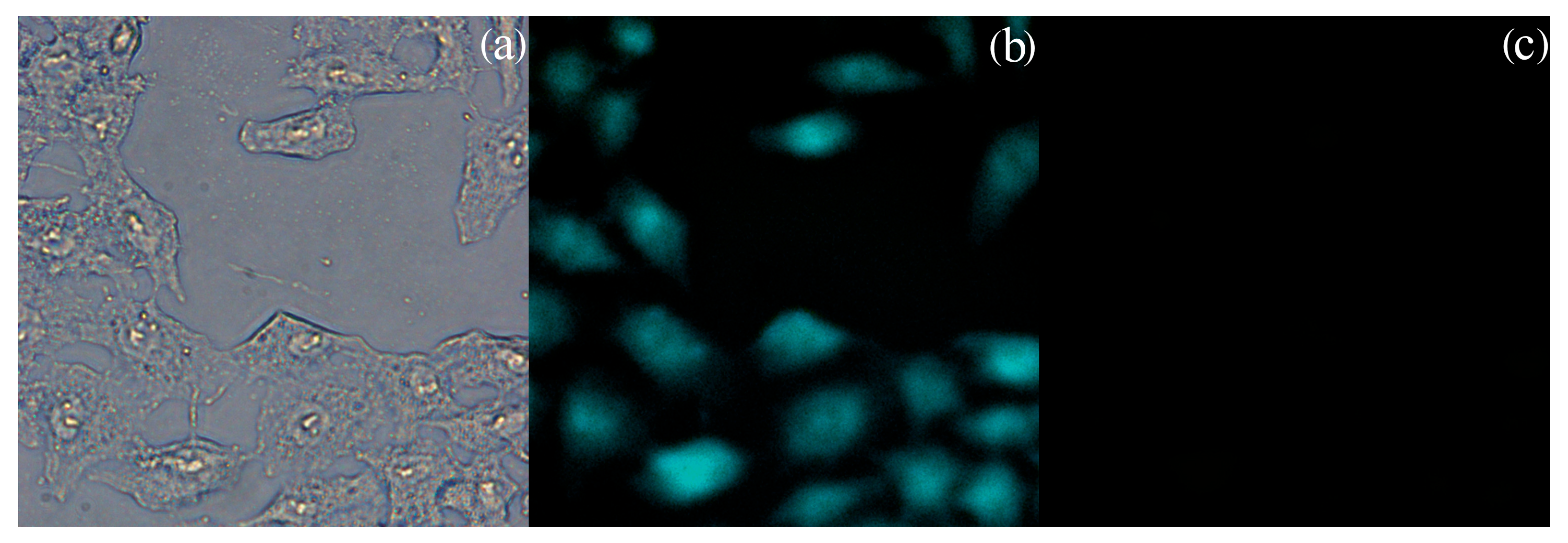 Chemosensors 13 00403 g008 Chemosensors 13 00403 g008