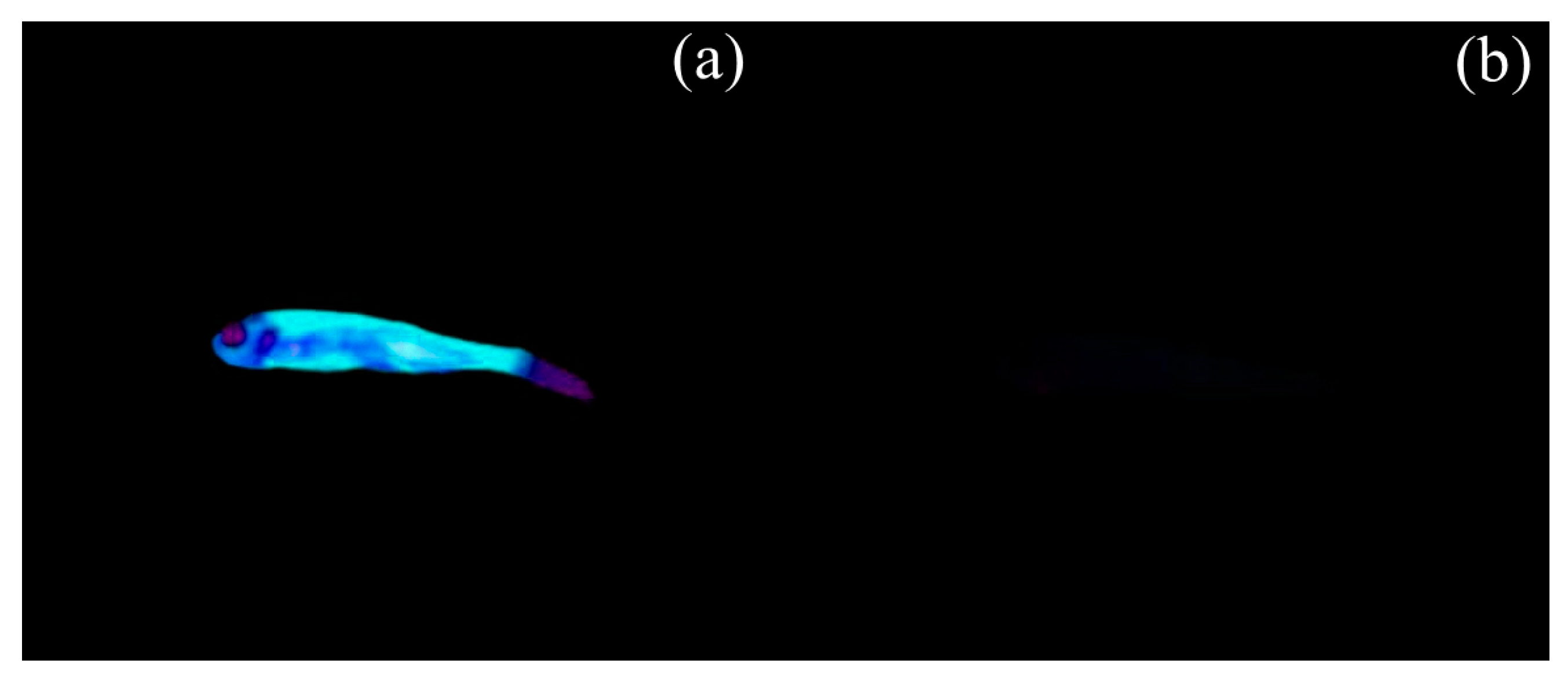 Chemosensors 13 00403 g009 Chemosensors 13 00403 g009