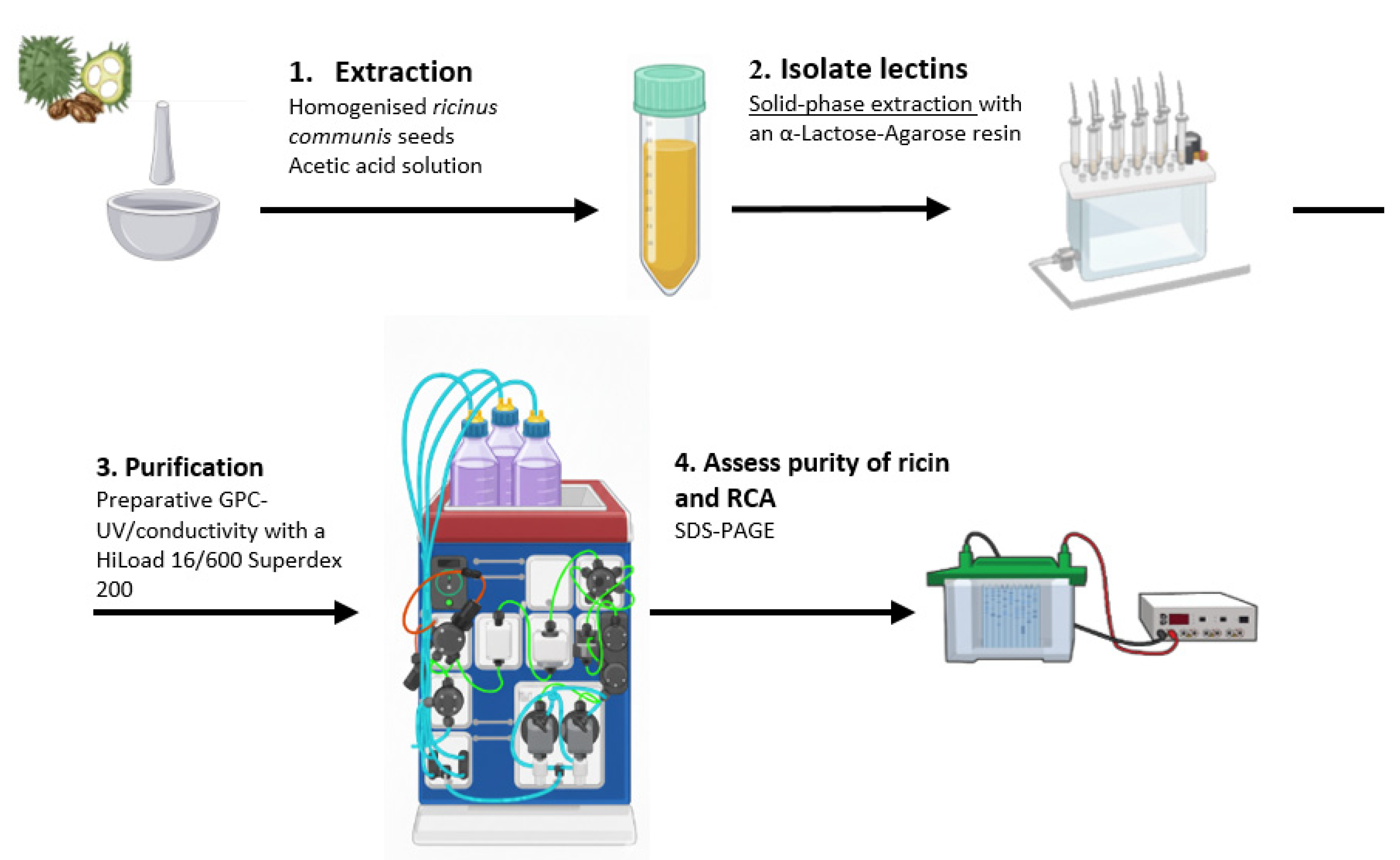 Chemosensors 13 00414 g001