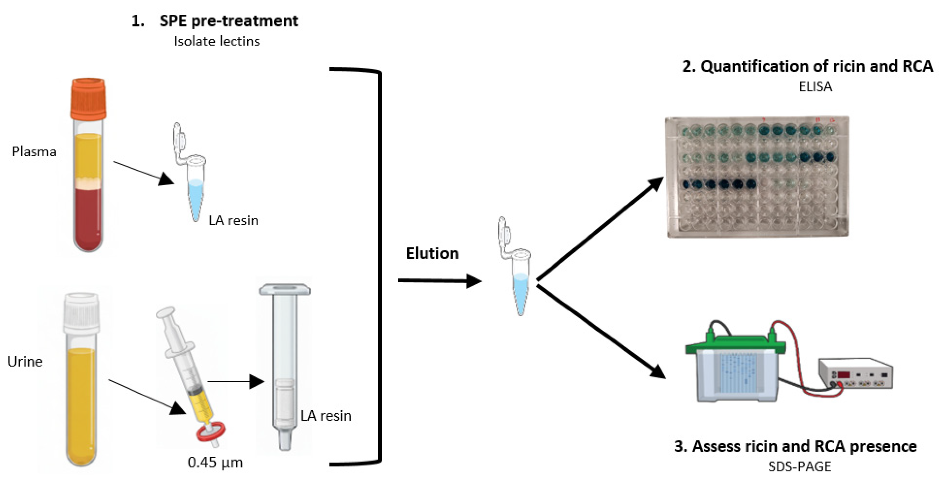 Chemosensors 13 00414 g002