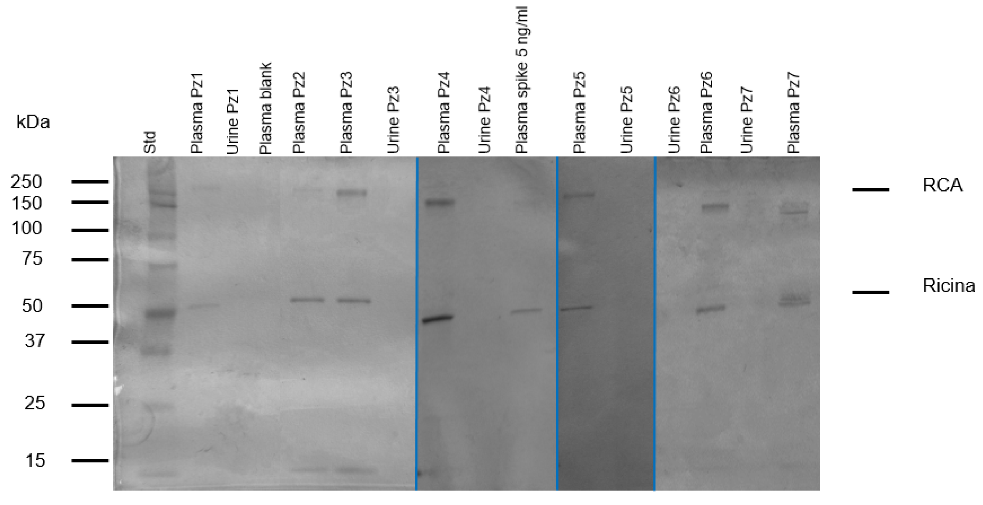 Chemosensors 13 00414 g007