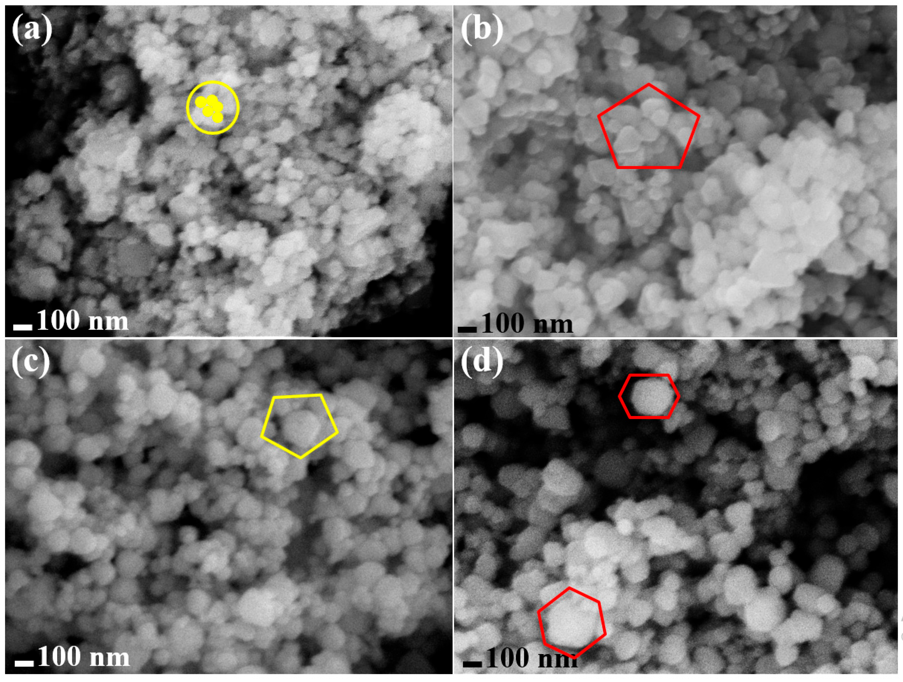 Chemosensors 13 00419 g001