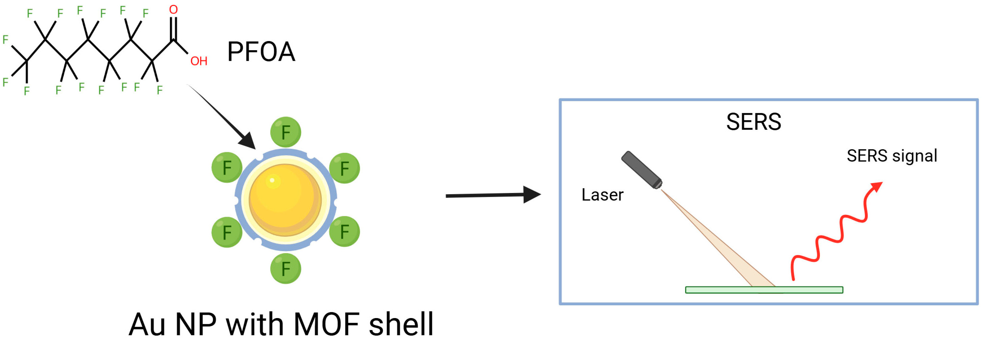 Chemosensors 13 00421 g004 Chemosensors 13 00421 g004