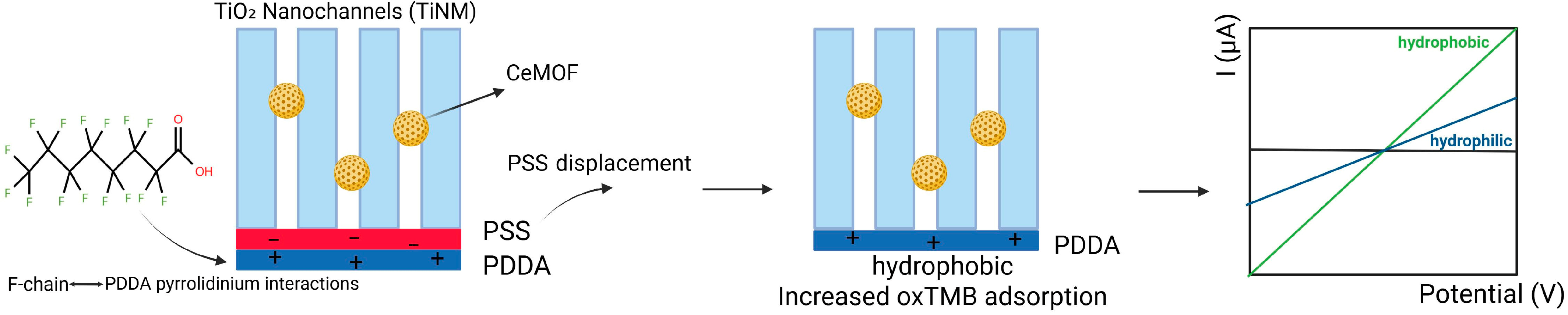 Chemosensors 13 00421 g006 Chemosensors 13 00421 g006