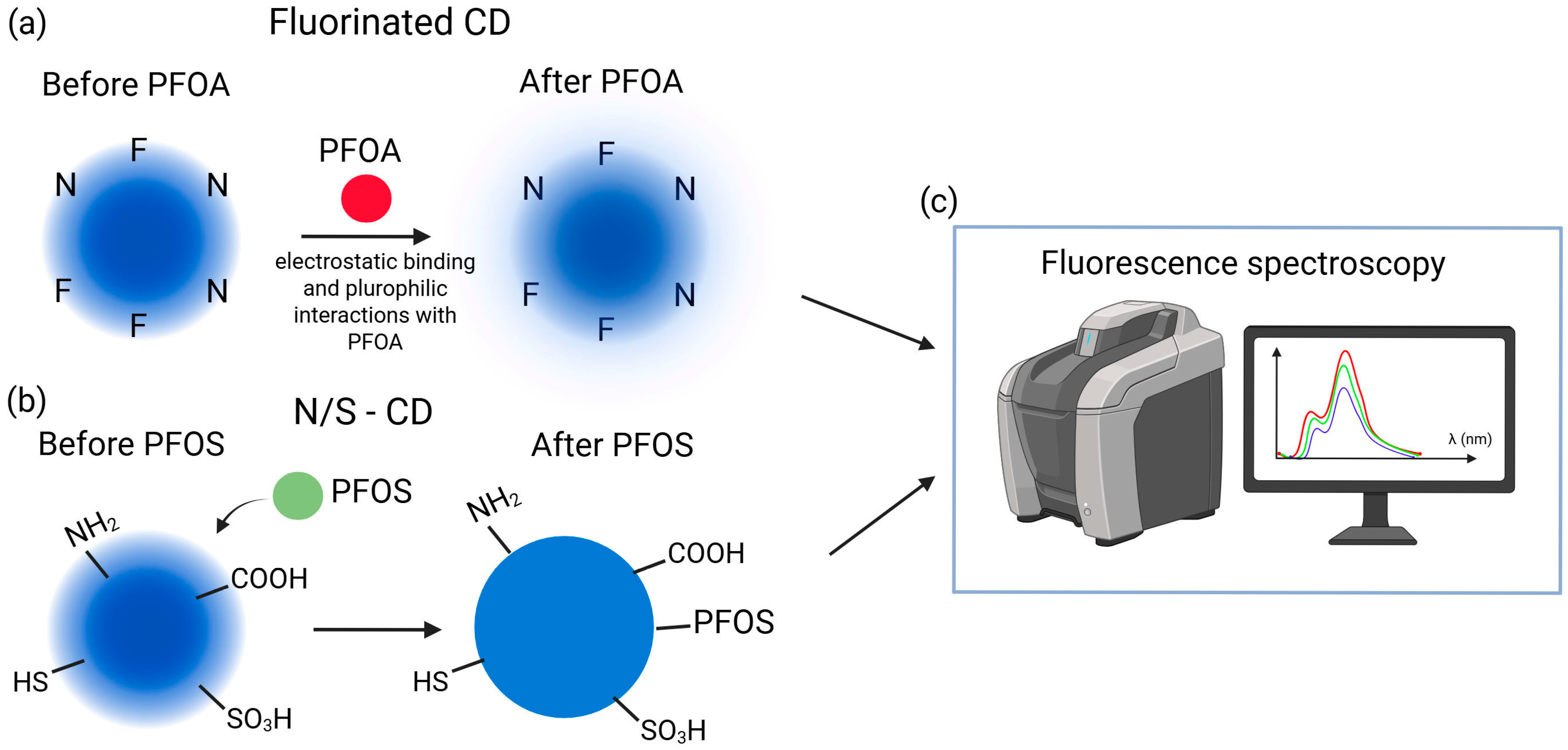 Chemosensors 13 00421 g008 Chemosensors 13 00421 g008