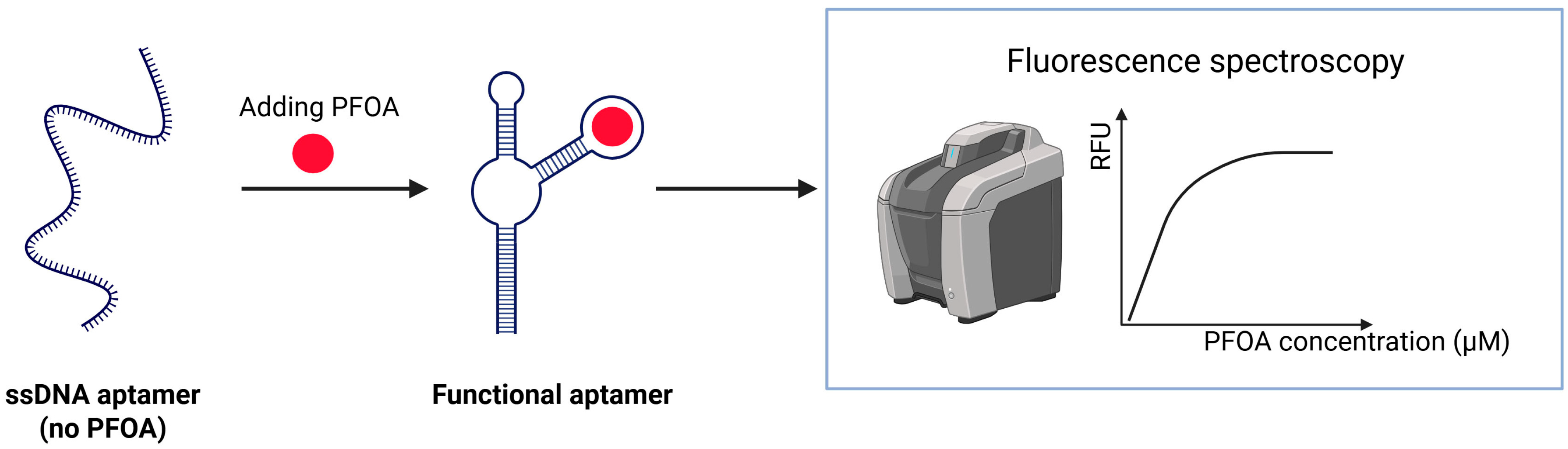 Chemosensors 13 00421 g009 Chemosensors 13 00421 g009