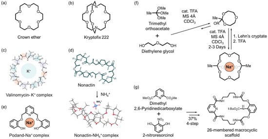 Chemosensors 13 00422 g002