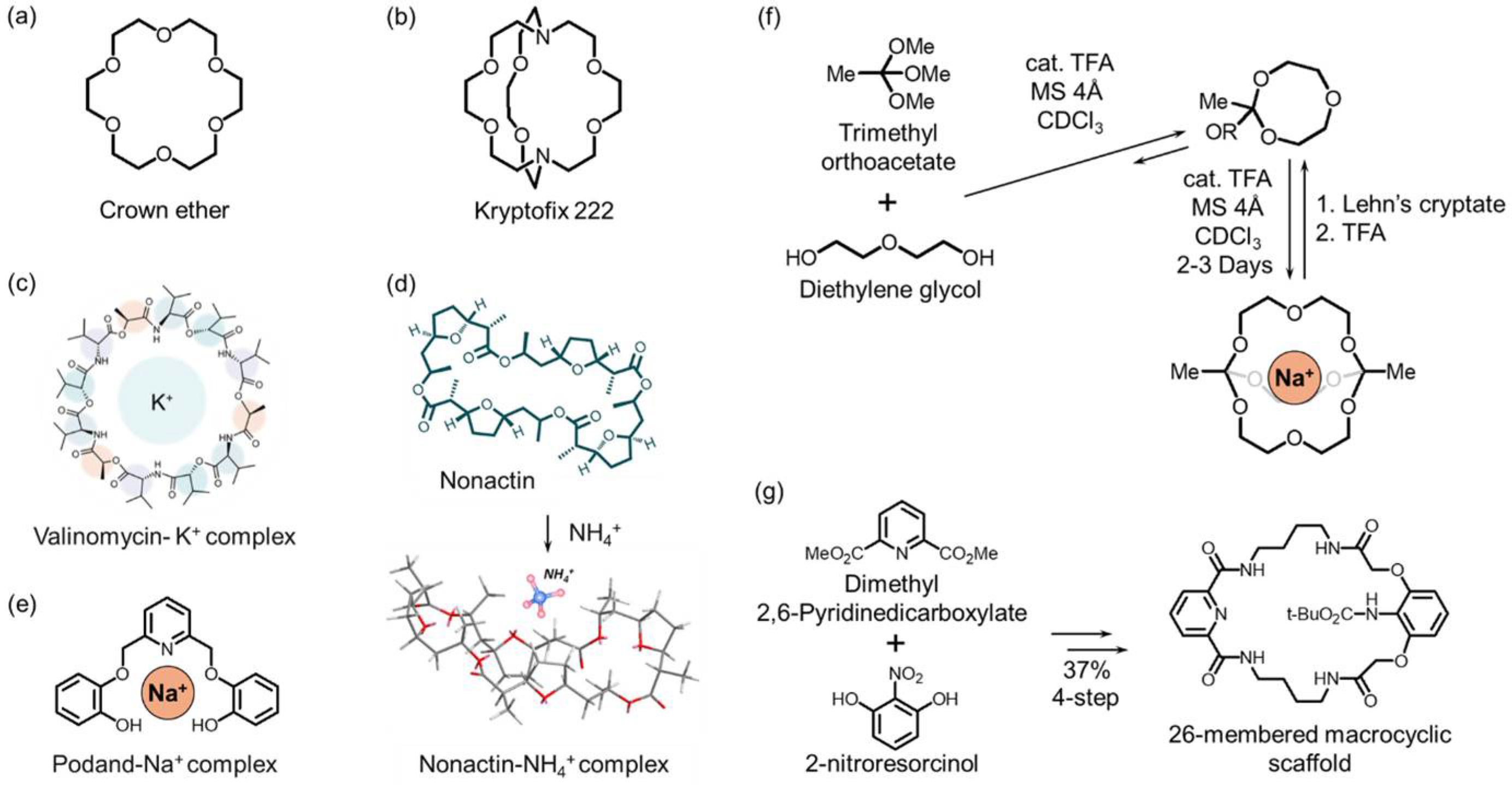 Chemosensors 13 00422 g002 Chemosensors 13 00422 g002