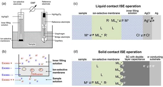 Chemosensors 13 00422 g007