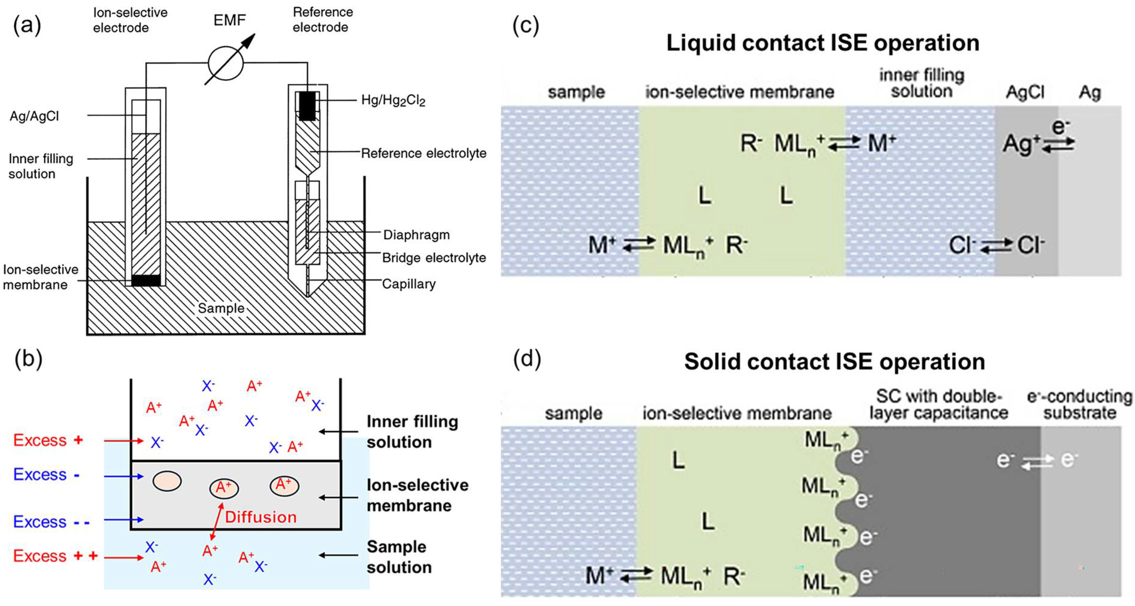 Chemosensors 13 00422 g007 Chemosensors 13 00422 g007