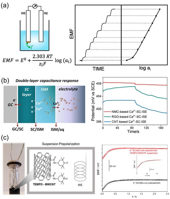 Chemosensors 13 00422 g008