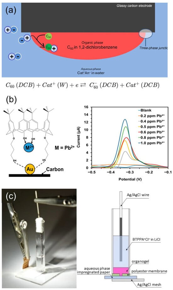 Chemosensors 13 00422 g009